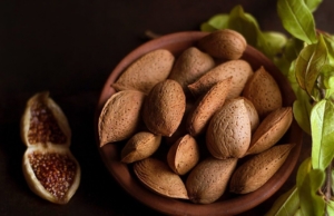Best food sources of calcium for lactose intolerants almond nuts - calcium source