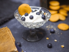 The amazing health benefits of probiotics home-made Yogurt - probiotics