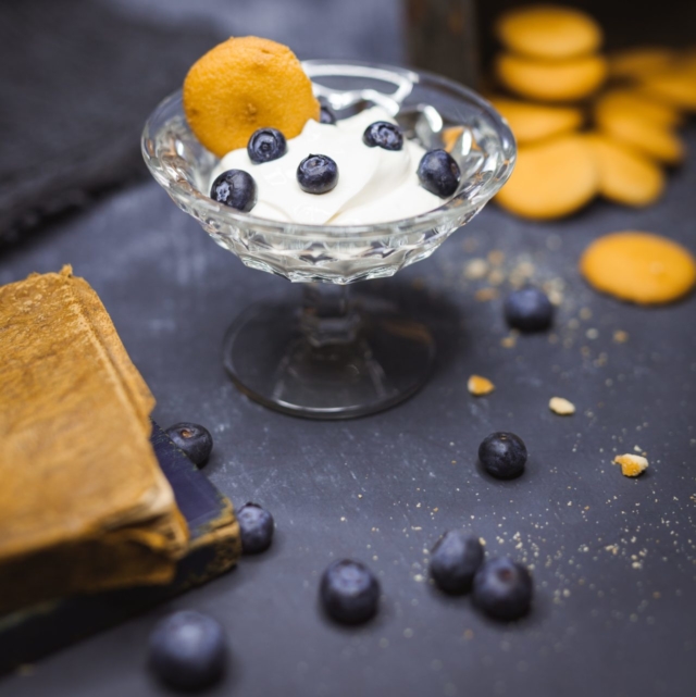 home-made Yogurt - probiotics