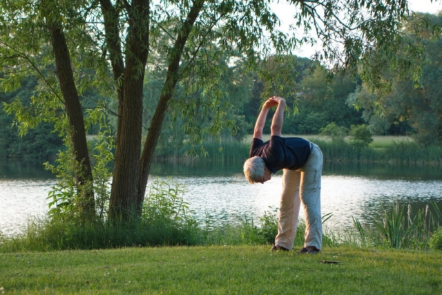 dwikonasana yoga pose