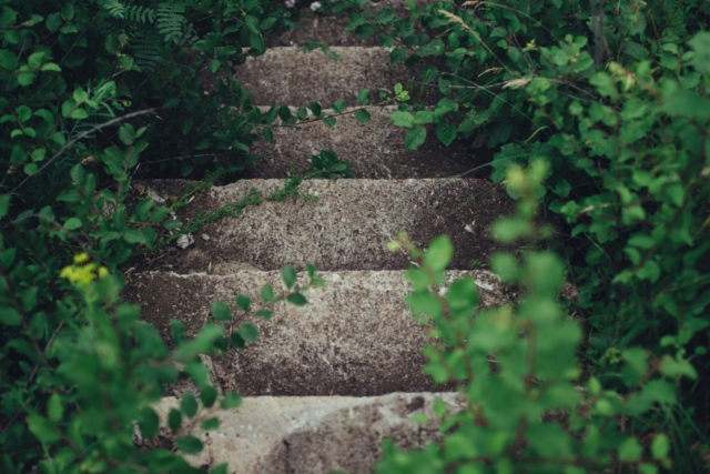 stairs-vs-elevator-min