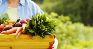 Natural foods that boost your immune system Natural foods