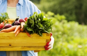 Natural foods that boost your immune system Natural foods