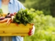 Natural foods that boost your immune system Natural foods