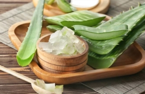The amazing health benefits of Aloe Vera health benefits of Aloe Vera