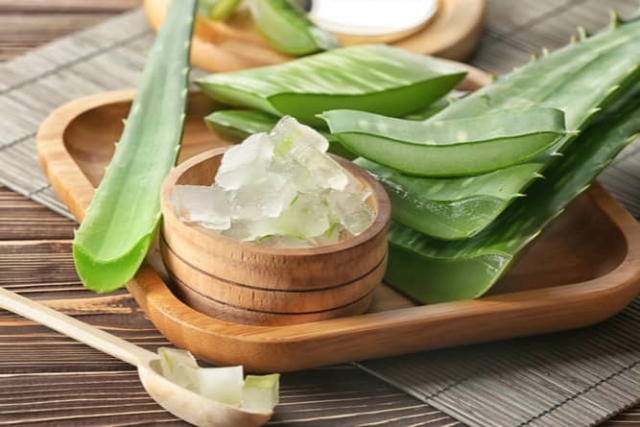 health benefits of Aloe Vera health benefits of Aloe Vera