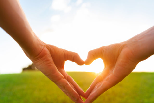 Healthy Relationship Healthy Relationship