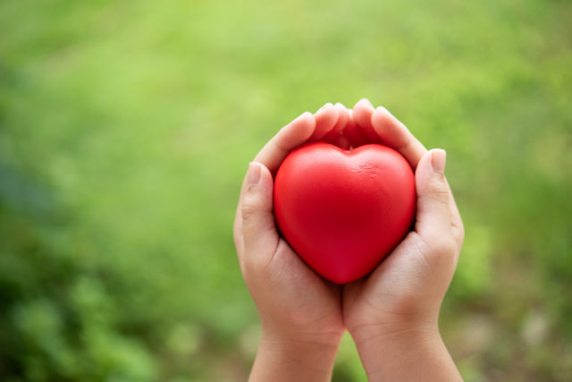 Healthy Heart Healthy Heart