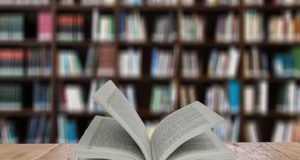 The Reason Why Education is So Important Education is So Important