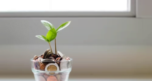 5 Small Steps To Take For Long-Term Financial Protection Long-Term Financial Protection