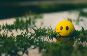 Harness Positive Thinking With Affirmations Harness Positive Thinking