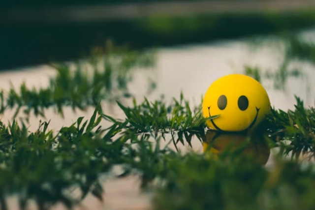 Harness Positive Thinking Harness Positive Thinking