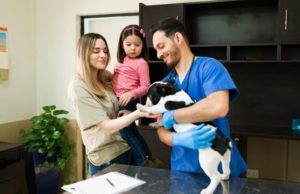 All you need to know about pet insurance about pet insurance
