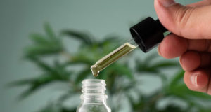 All About CBD Oil CBD Oil