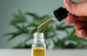 All About CBD Oil CBD Oil