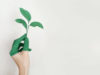 The Link Between Sustainable Living and Mental Health Mental Health