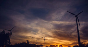 The Role of Businesses in Environmental Sustainability Role of Businesses