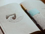 The Power of Journaling: Transforming Thoughts Into Growth Power of Journaling