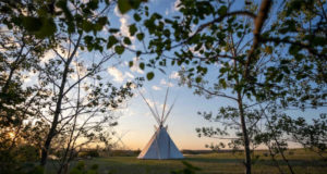 The Joy of Outdoor Living: Embrace Nature and Spend More Time Outside Joy of Outdoor Living