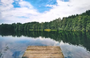 The Rise of ESG Investing: How to Invest with a Social and Environmental Conscience Rise of ESG Investing