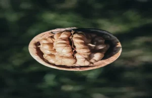 Foods That Nourish Your Brain Foods That Nourish Your Brain