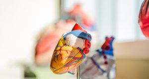 How Physical Activity Benefits Your Cardiovascular System? (World Heart Day) World Heart Day