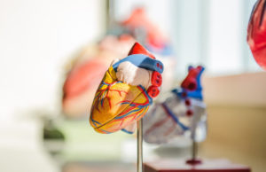 How Physical Activity Benefits Your Cardiovascular System? (World Heart Day) World Heart Day