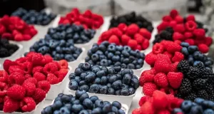 What Are Phytonutrients? Phytonutrients