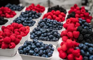 What Are Phytonutrients? Phytonutrients