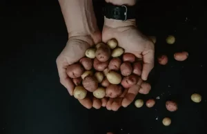 Understanding Starchy Foods: Types, Benefits, Risk Understanding Starchy Foods