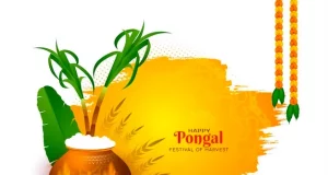 Pongal 2024: Unraveling the Essence of the Four-Day Harvest Festival Pongal 2024